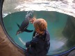 Cornwall Seal Sanctuary